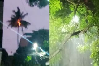 Lightning falling on coconut tree in indore