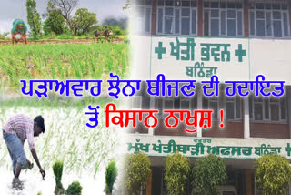 plant paddy in stages, Bathinda