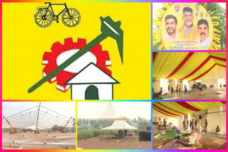 TDP Mahanadu Arrangements