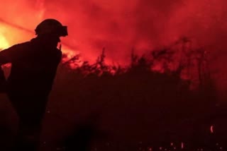 Forest Fire in Spain