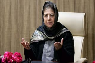 Former Chief Minister of Jammu and Kashmir Mehbooba Mufti