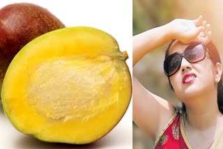 Ayurvedam Tip For Get Rid From Sun Stroke From Mango Kernels Or Gutli