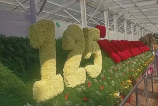 ooty flower show