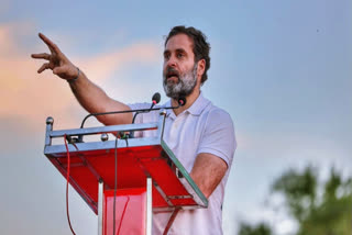 Rahul Gandhi's US trip aimed at promoting shared values of real democracy
