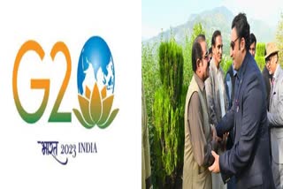 G20 summit in Srinagar
