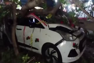 Peepal tree fell on shop in Ujjain