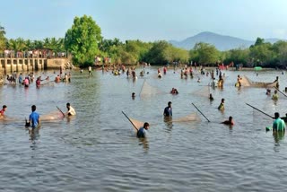 ಮತ್ಸಬೇಟೆ