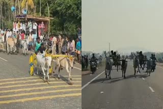 கோவில் திருவிழாவை முன்னிட்டு உத்தமபாளையம் அருகே இரட்டை மாட்டு வண்டி எல்கை பந்தயம்.