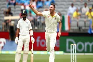 josh hazlewood