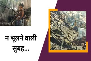 26 years of earthquake tragedy in jabalpur