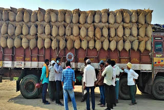 Warangal farmers