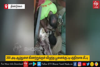 200 அடி ஆழ்துளை கிணற்றுக்குள் விழுந்த பூனைக்குட்டி பத்திரமாக மீட்பு!