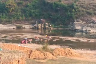 Illegal sand mining continues in Hasdo river