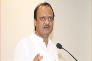 Ajit Pawar On Bjp