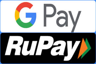 Etv BharatGoogle Pay Launches