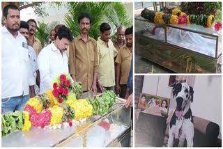Funeral of pet dog in Hindu tradition