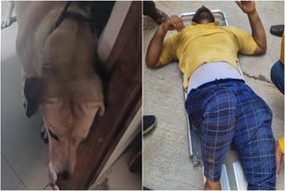 Hyderabad Delivery agent critical after jumping off 3rd floor to escape dog attack