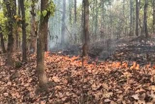 Gpm Forest Fire