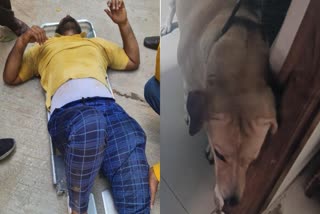 dog attack  delivery boy critical after jumping from building  dog attack hyderabad delivery boy in critical  delivery boy  ഡെലിവറി ബോയ്‌ക്ക് ഗുരുതര പരിക്ക്  നായ ആക്രമണം കെട്ടിടത്തിൽ നിന്ന് വീണ് ഡെലിവറി ബോയ്‌  കെട്ടിടത്തിൽ നിന്ന് വീണ് ഡെലിവറി ബോയ്‌ക്ക് പരിക്ക്  നായ ആക്രമണം ഡെലവറി ബോയ്  dog attack delivery boy  delivery boy