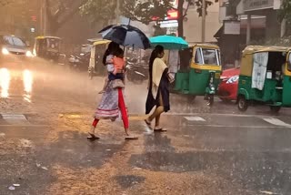 surface-cyclone-on-the-coast-of-tamilnadu-rain-in-the-state-for-five-days