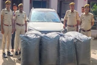 police seized sawdust worth Rs 9 lakh,  Chittorgarh police seized sawdust