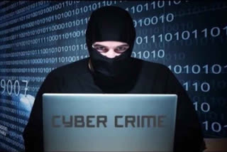 cyber crime