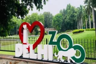 Delhi Zoo