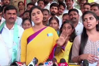Sharmila reacts to Revanth Reddy Comments