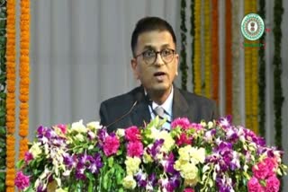 Statement of Chief Justice of India DY Chandrachud on judicial system