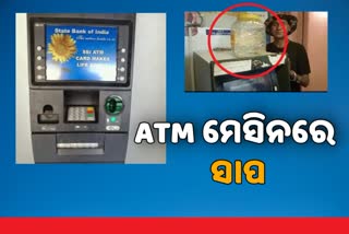 ATM ମେସିନରୁ ବାହାରିଲେ ସାପ ଛୁଆ, ଭୟରେ ଧାଇଁଲେ ଲୋକ