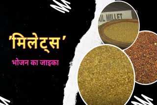 millets food now available in madhya pradesh
