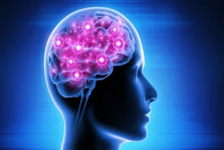 Having Alzheimer's genes may increase risk of epilepsy: Study