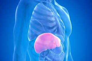 liver disease  Death risk from liver disease  lower income countries  liver  obesity  liver cirrhosis  immune system  brain  Liver disease death risk  Liver disease  cirrhosis  കരളിന്‍റെ കാര്യത്തില്‍ റിസ്‌ക് എടുക്കരുത്  വരുമാനം കുറഞ്ഞ രാജ്യങ്ങളില്‍  കരള്‍ രോഗത്തെ തുടര്‍ന്നുള്ള മരണസാധ്യത  കരള്‍  മരണസാധ്യത  കരള്‍ രോഗം  ലിവര്‍ സിറോസിസ്  മെഡിക്കൽ ഡാറ്റ  ലാൻസെറ്റ് ഗ്യാസ്ട്രോഎൻറോളജി