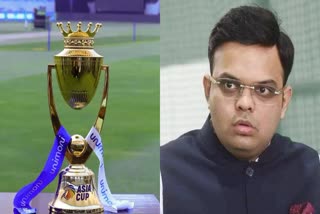 bcci secretary jay shah