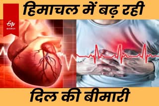 heart attack cases in himachal