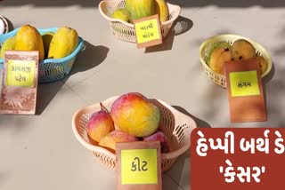 kesar-mango-today-is-the-birthday-of-kesar-mango-know-the-unknown-history-of-girs-famous-kesar-mango