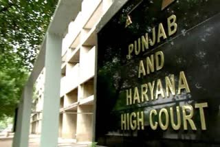 punjab haryana high court