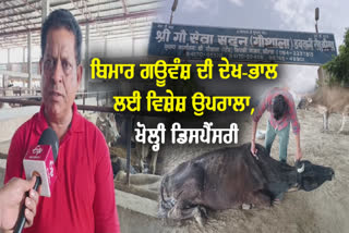 Cow Seva Sadan opened a dispensary for sick and accident victims of cows