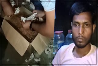 Peddler arrested with huge quantity of Ganja in Barpeta Road