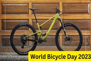 World Bicycle Day