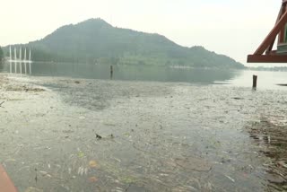 Dal Lake