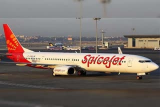 Spicejet