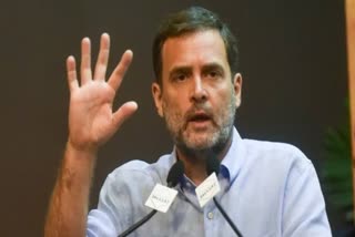 Court granted ordinary passport for Rahul Gandhi