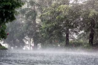 Kashmir weather: MeT predicts further hailstorms, gusty winds