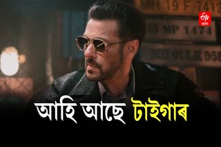 Salman Khan Upcoming film Tiger 3 shooting completed