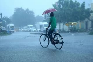 Rain updates in Kerala  സംസ്ഥാനത്ത് അടുത്ത 4 ദിവസം മഴയ്‌ക്ക് സാധ്യത  3 ജില്ലകളില്‍ ഇന്ന് യെല്ലോ അലര്‍ട്ട്  മണ്‍സൂണില്‍ കൂടുതല്‍ മഴ  മത്സ്യബന്ധനത്തിന് വിലക്ക്  യെല്ലോ അലര്‍ട്ട്  rain in kerala  kerala rain updates  latest news about rain