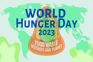 World Hunger Day 2023: Celebrating sustainable solutions to Hunger and Poverty