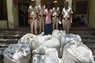 Chittaurgarh police recovered opium doda