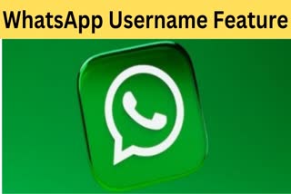 WhatsApp Username Feature