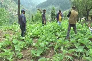 farmers in doda